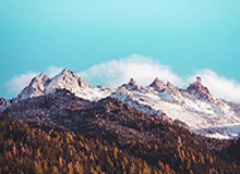 开云部门-大加索尔希望重返湖人 调整状态出战东京奥运会